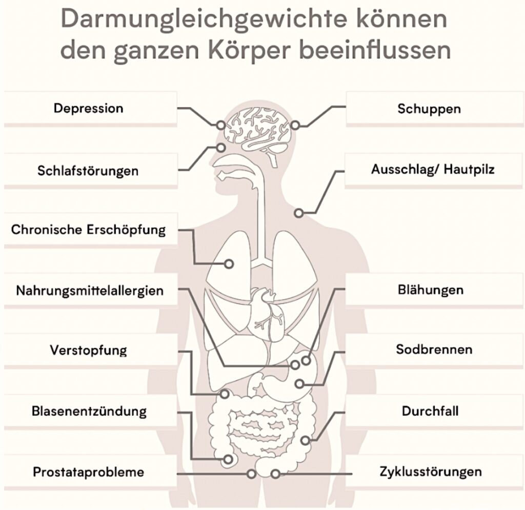 Darmungleichgewicht